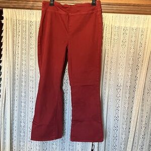 We The Free Burgundy Pants